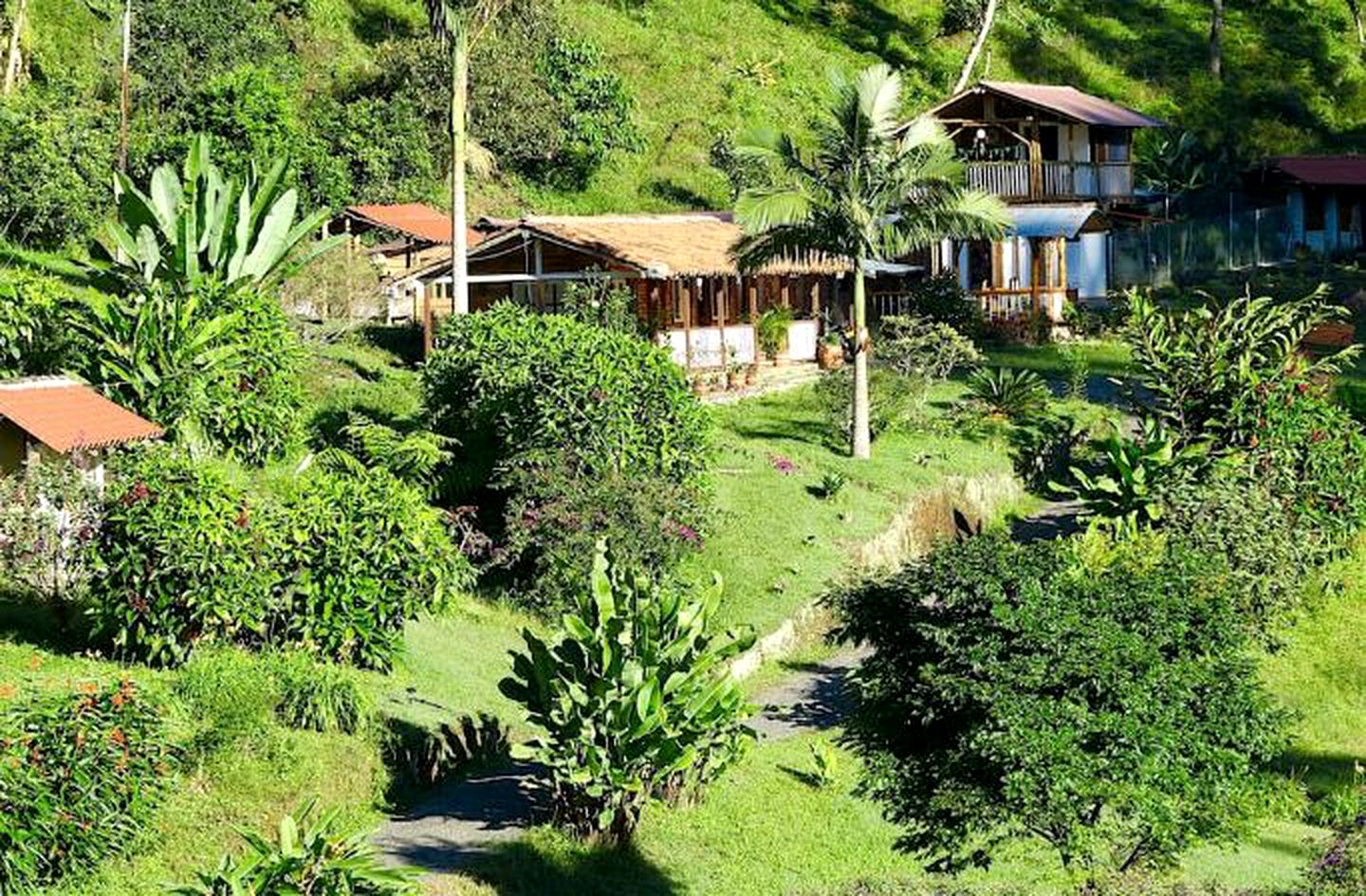 Cozy Vacation Rental with Yoga and Meditation near Armenia, Colombia