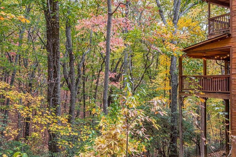 Cabins (United States of America, Sautee Nacoochee, Georgia)