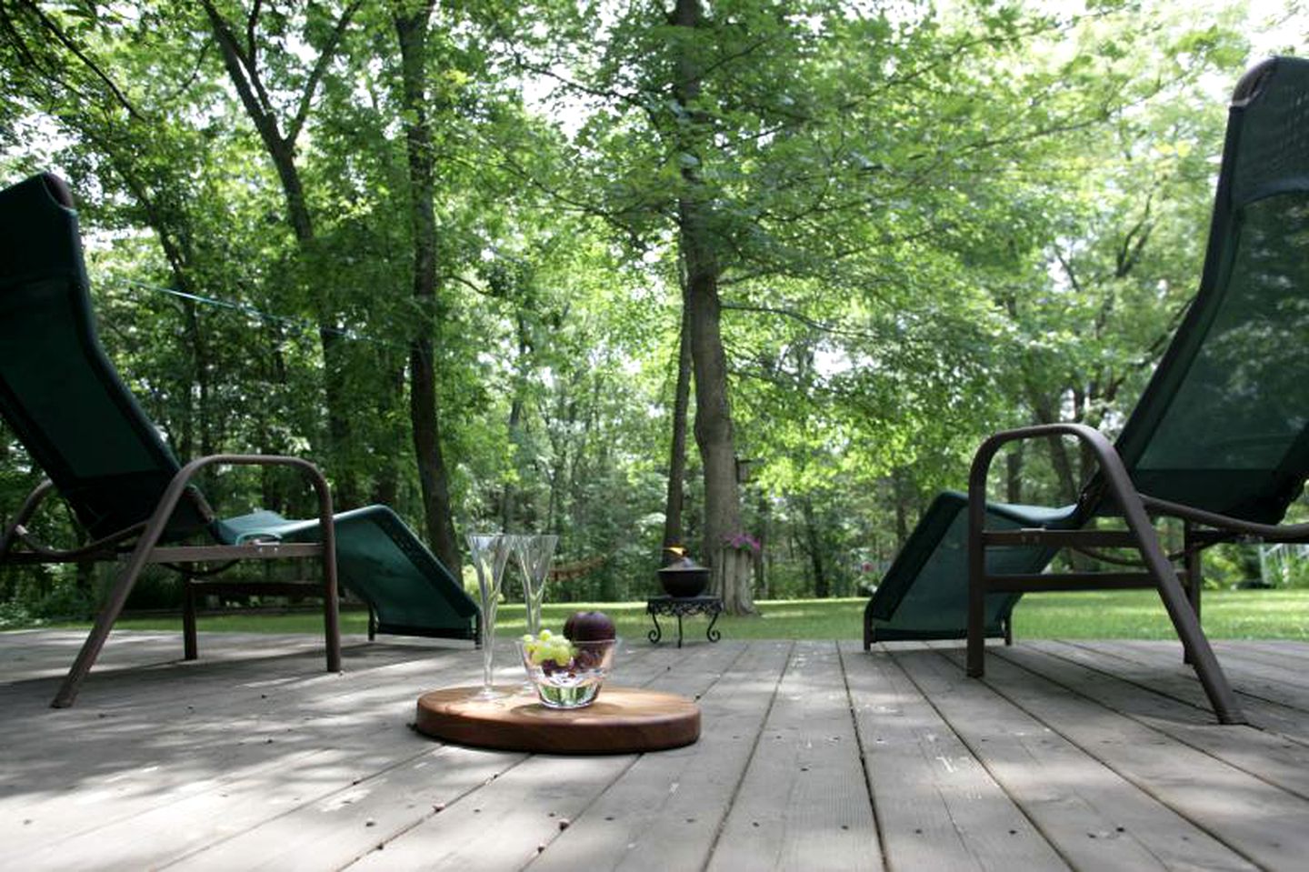 Peaceful Treetop Cottage in the Missouri Ozarks