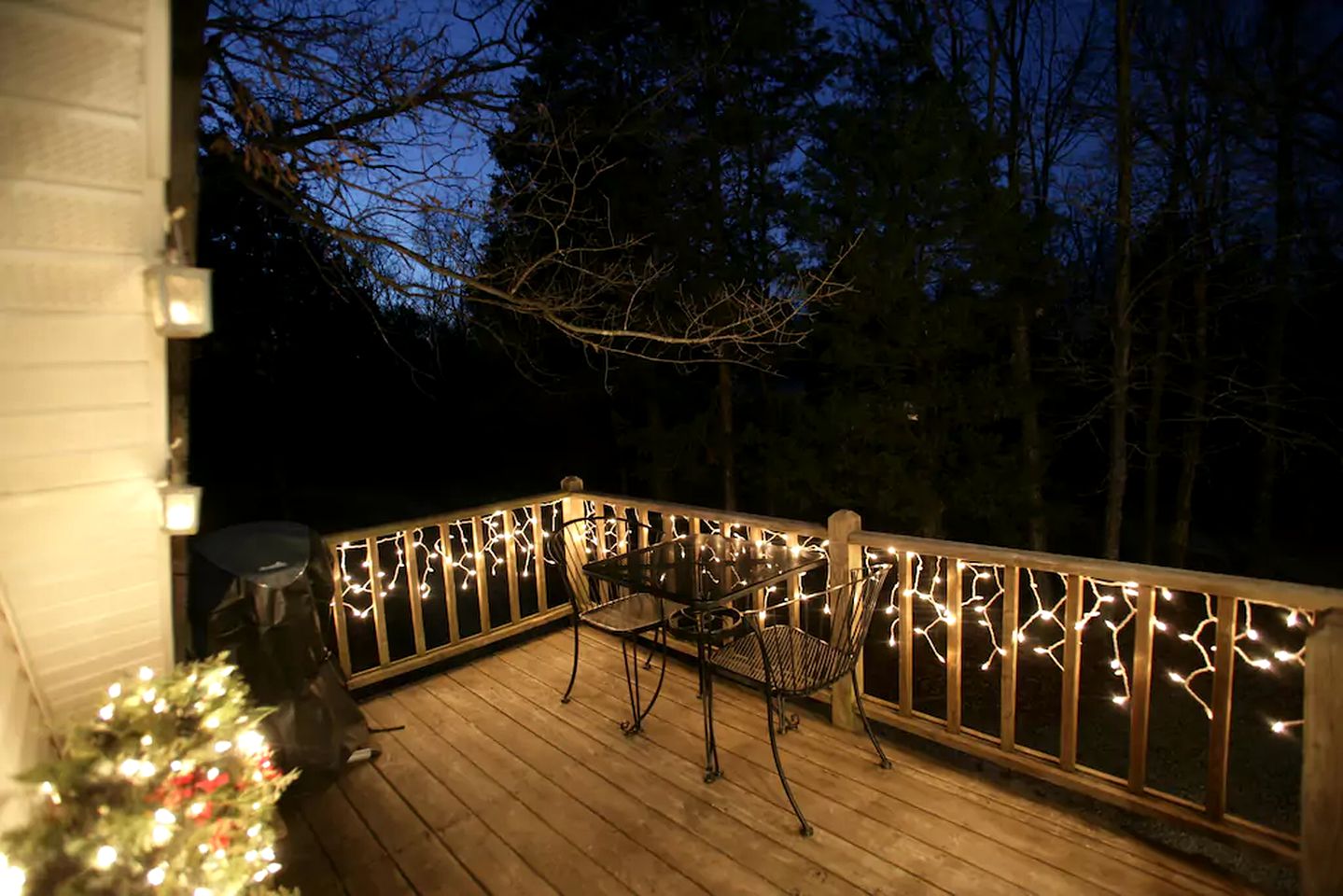 Peaceful Treetop Cottage in the Missouri Ozarks