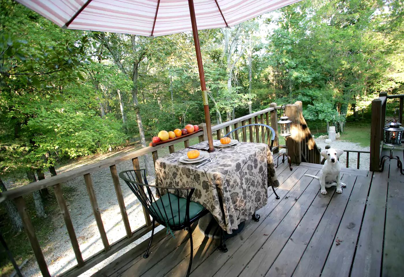 Peaceful Treetop Cottage in the Missouri Ozarks