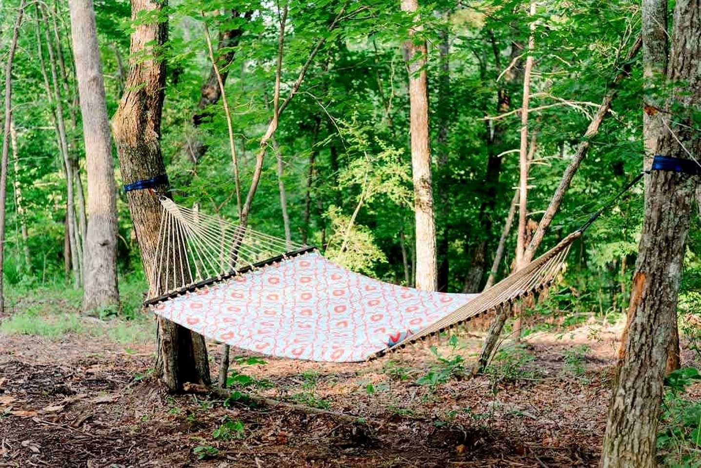 Relaxing Getaways to Chattanooga, Tennessee, in this Colorful Pet-Friendly Cabin