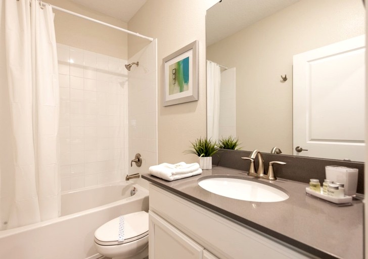 Vacation Rentals (United States of America, Reunion, Florida)