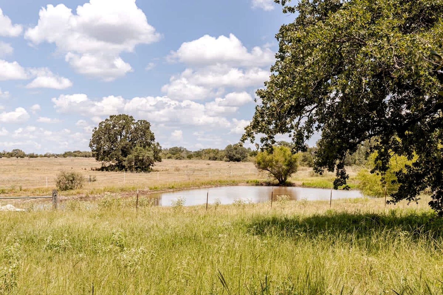 Modern Farmstay Cabin with Friendly Animals, Pond Views & Nature Trails Near Cedar Creek, Texas