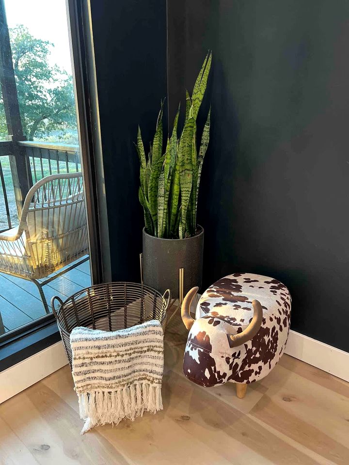 Modern Farmstay Cabin with Friendly Animals, Pond Views & Nature Trails Near Cedar Creek, Texas