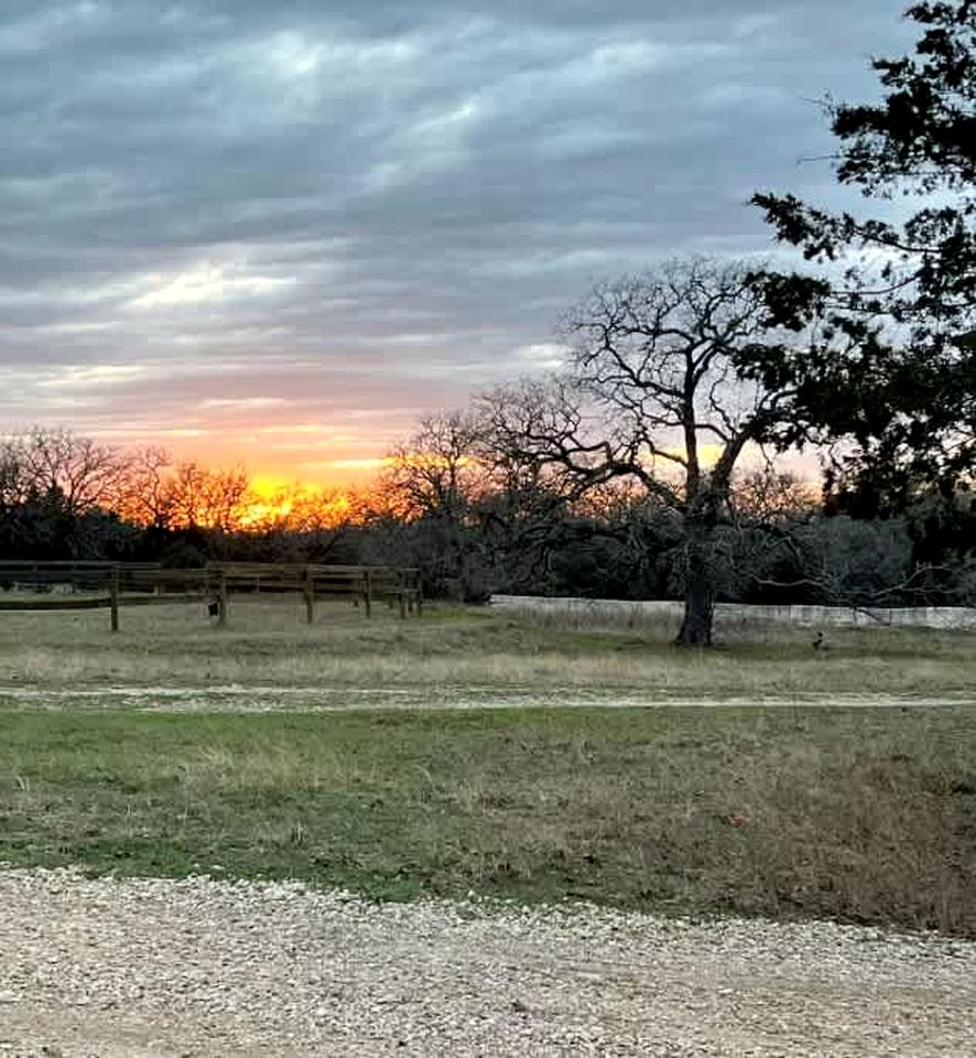 Tranquil Modern Cabin with Friendly Farm Animals & Pond Views Near Cedar Creek, Texas