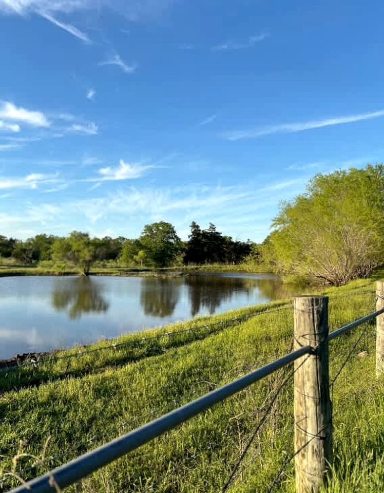 Tranquil Modern Cabin with Friendly Farm Animals & Pond Views Near Cedar Creek, Texas