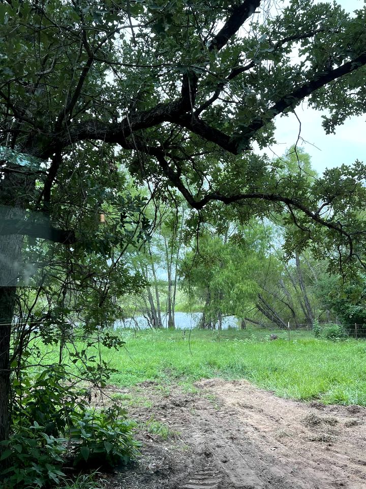 Tranquil Modern Cabin with Friendly Farm Animals & Pond Views Near Cedar Creek, Texas