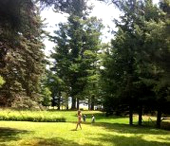 Cabins (Raquette Lake, New York, United States)