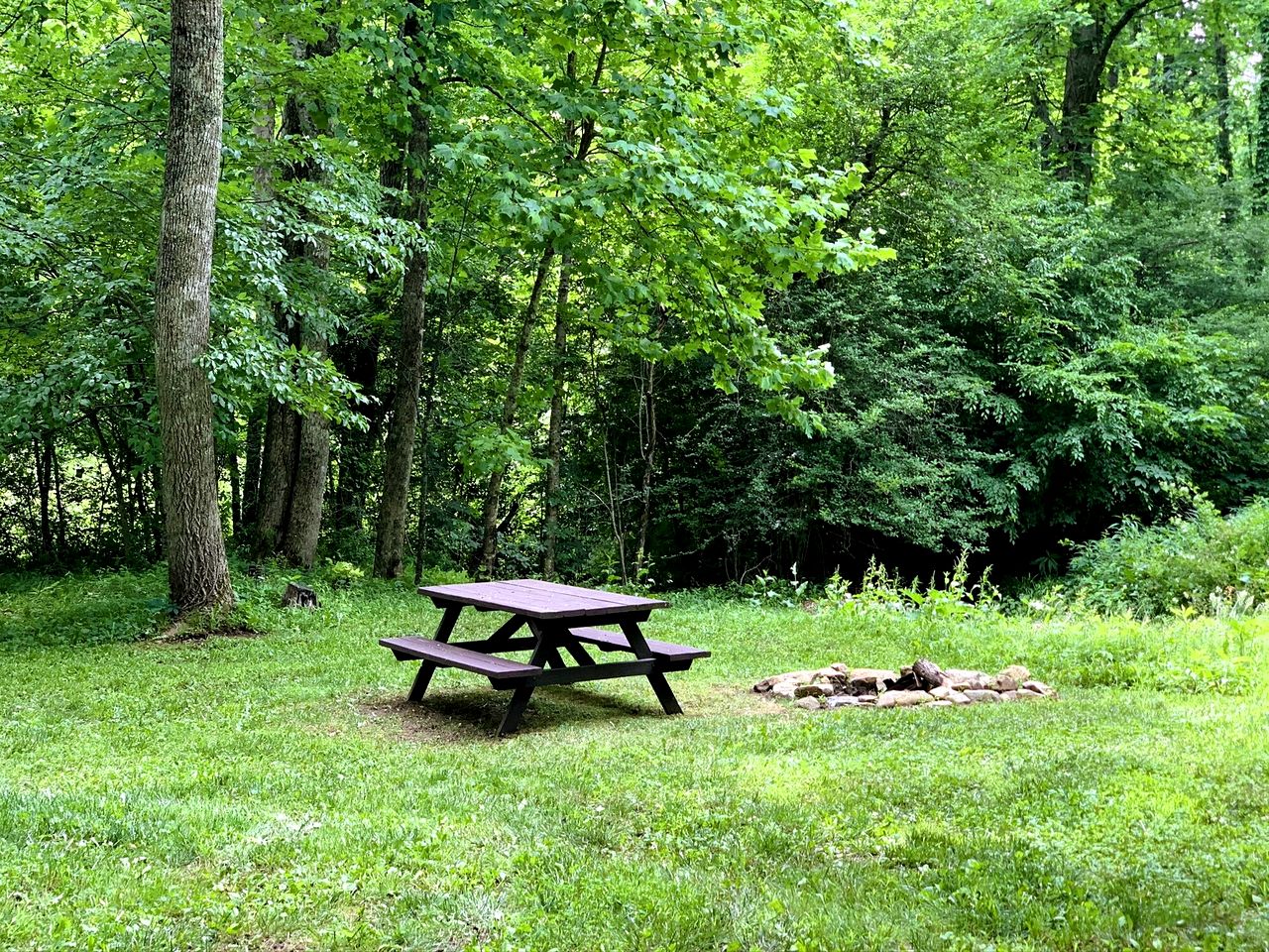 Relaxing Tiny Cabin with Outdoor Fire Ring in West Virginia