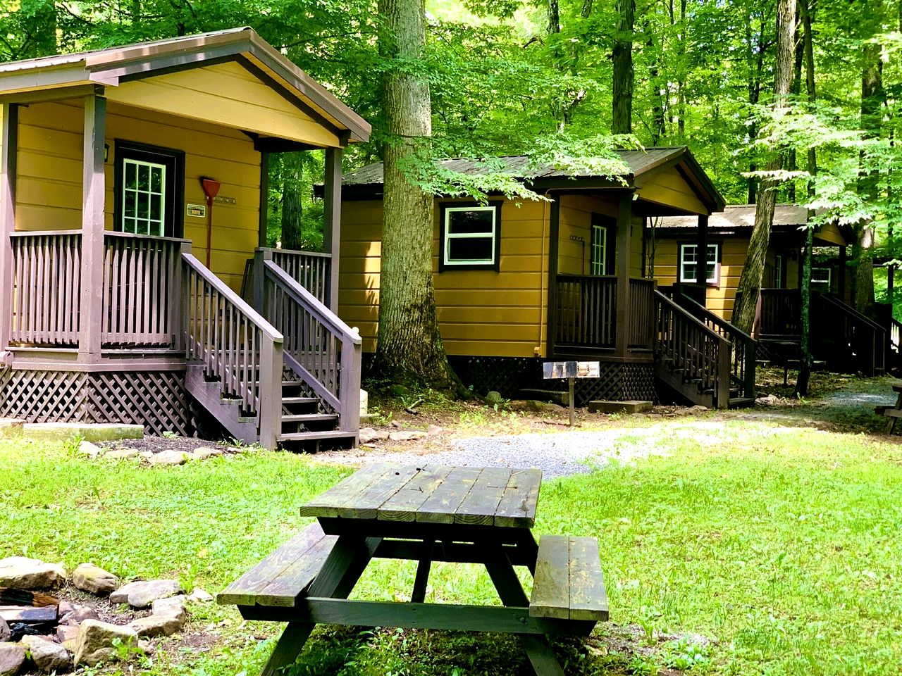 Relaxing Tiny Cabin with Outdoor Fire Ring in West Virginia