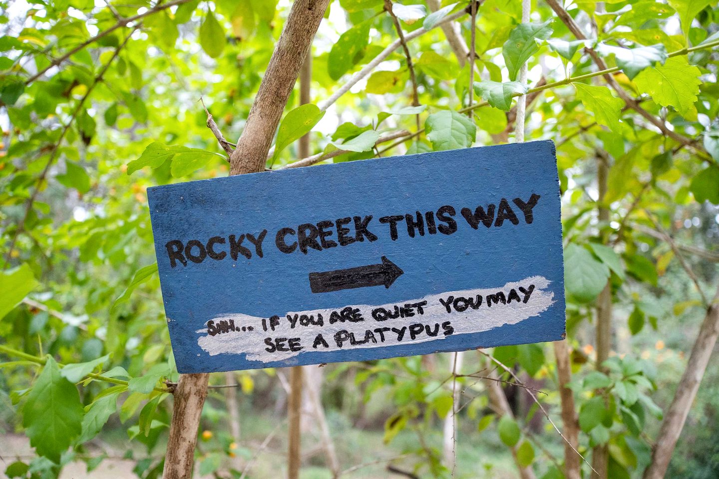 Relaxing Tiny House Escape with Stunning Rocky Creek Views, Nestled in the Foothills of the Bauple Mountains in Glenwood, New South Wales