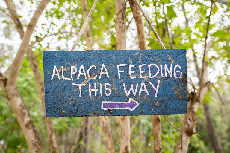 Tiny Houses (Australia, Glenwood, New South Wales)