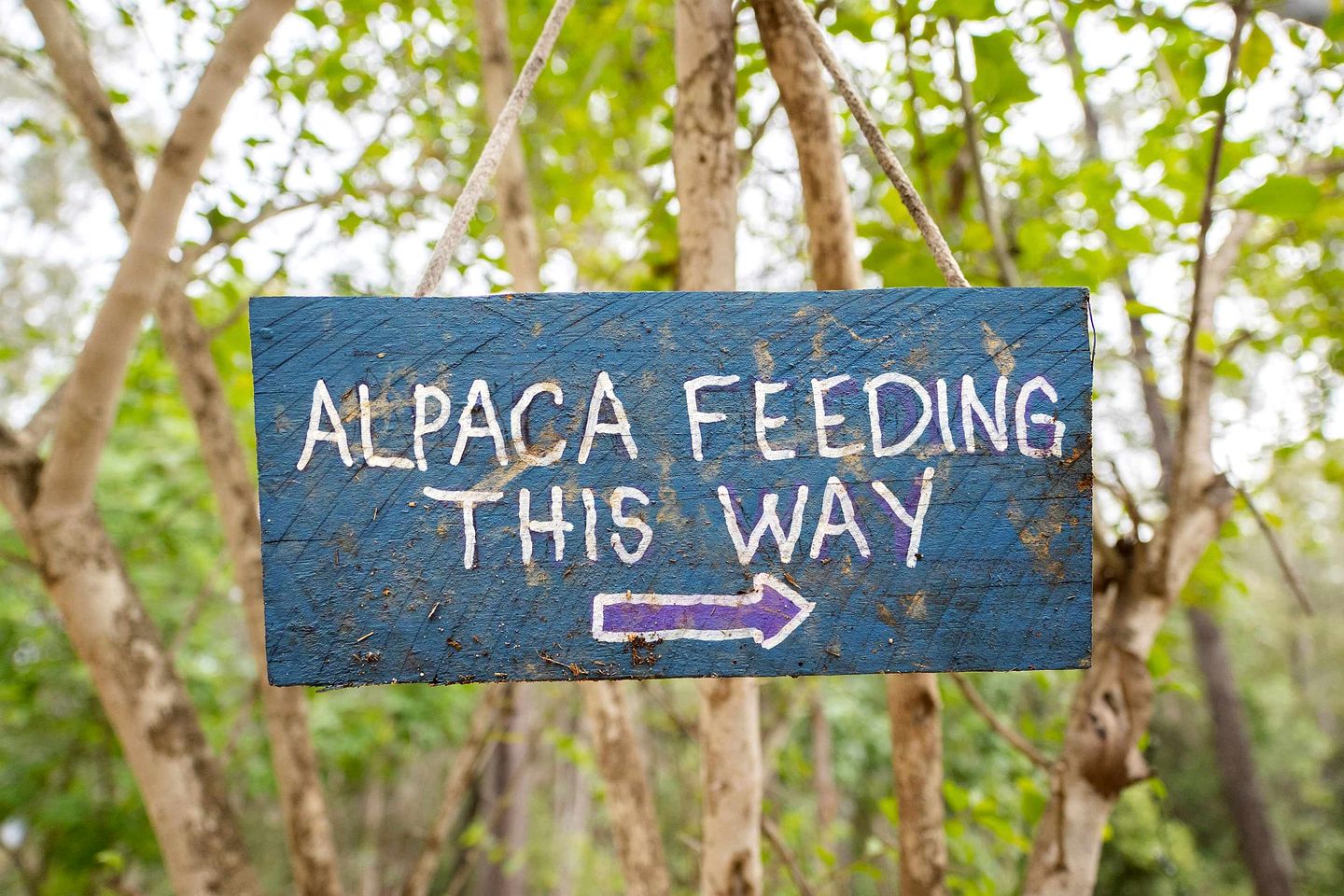 Relaxing Tiny House Escape with Stunning Rocky Creek Views, Nestled in the Foothills of the Bauple Mountains in Glenwood, New South Wales