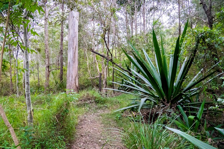 Tiny Houses (Australia, Glenwood, New South Wales)