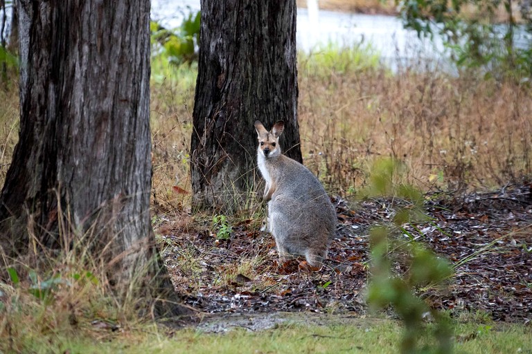 Tiny Houses (Australia, Glenwood, New South Wales)