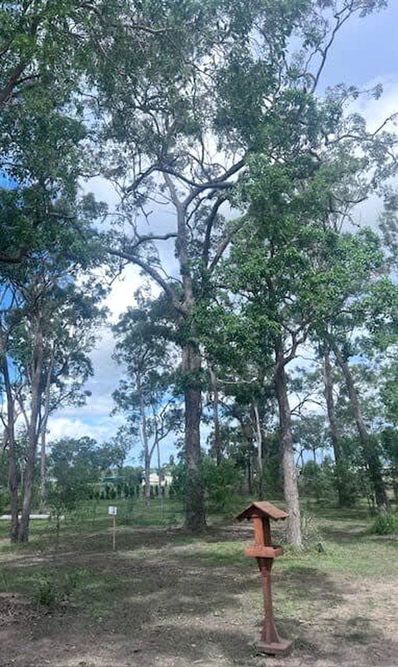 Relaxing Tiny House Nearby the Beach in Queensland, Australia