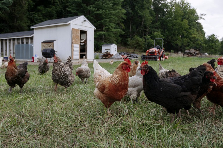 Tiny Houses (United States of America, Madison, Virginia)