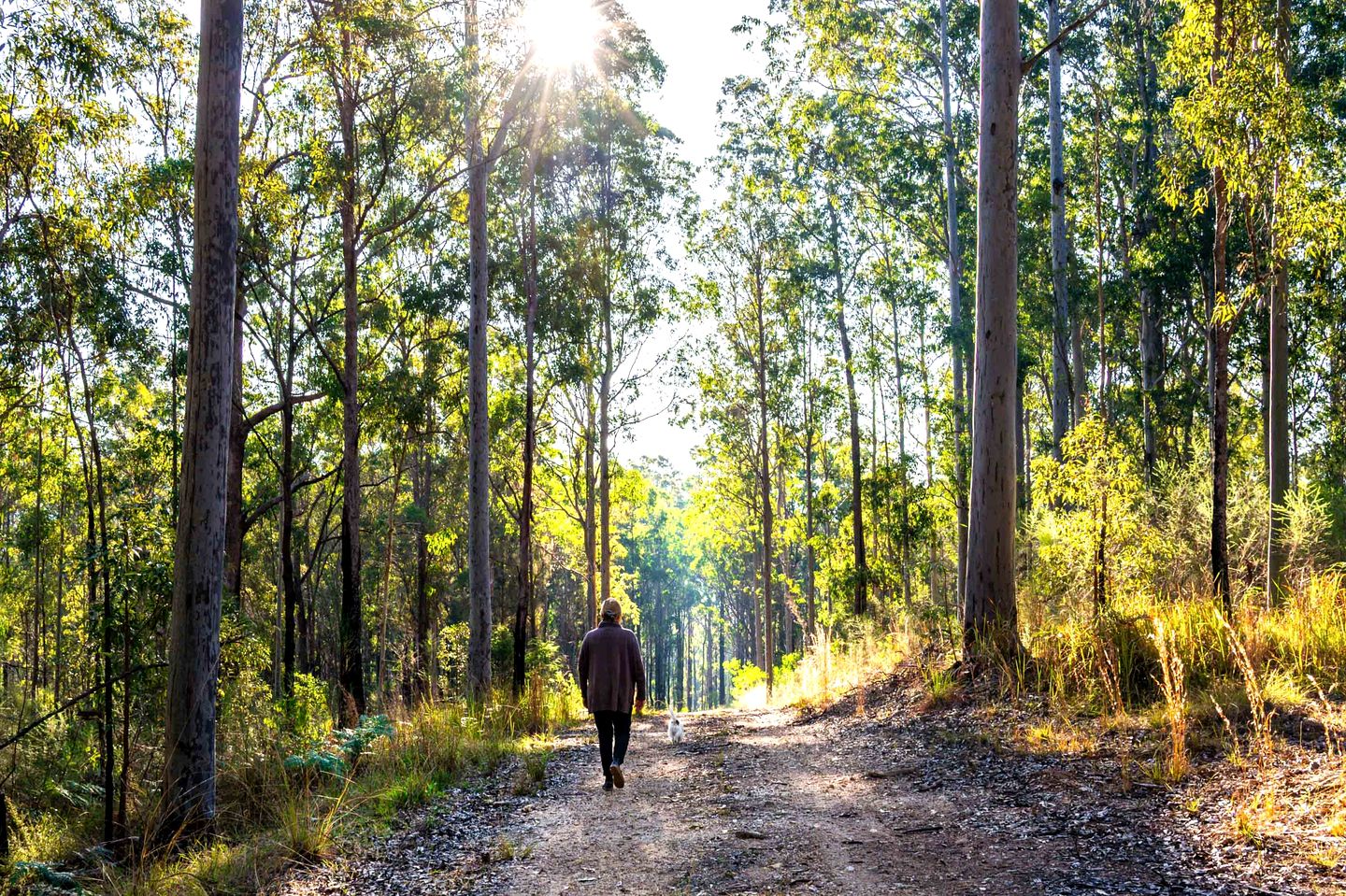 Relaxing Tiny House Perfect for Horse Lovers with Firepit in New South Wales, Australia