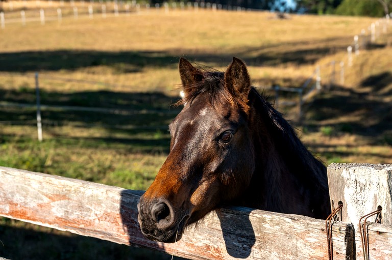 Tiny Houses (Australia, Glenreagh, New South Wales)