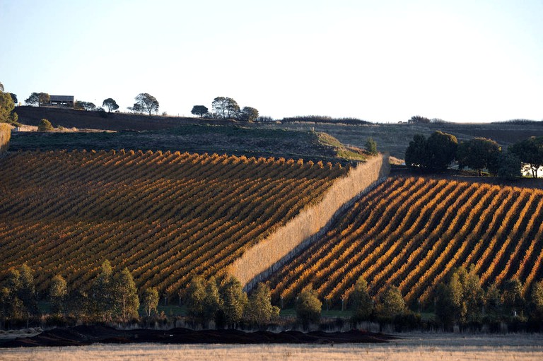 Cottages (Relbia, Tasmania, Australia)