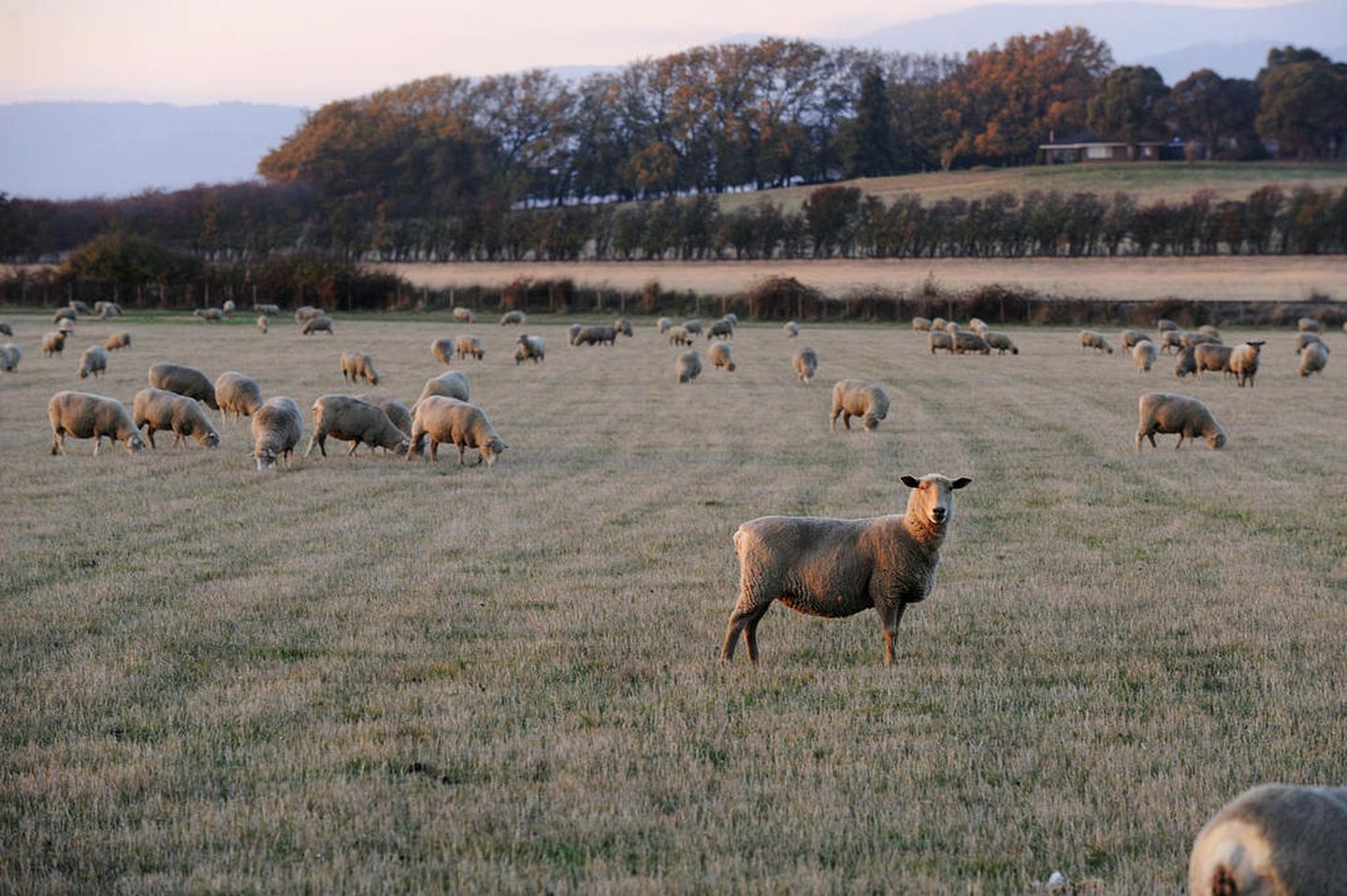 Gorgeous and Spacious Rental for a Family Holiday in Tasmania