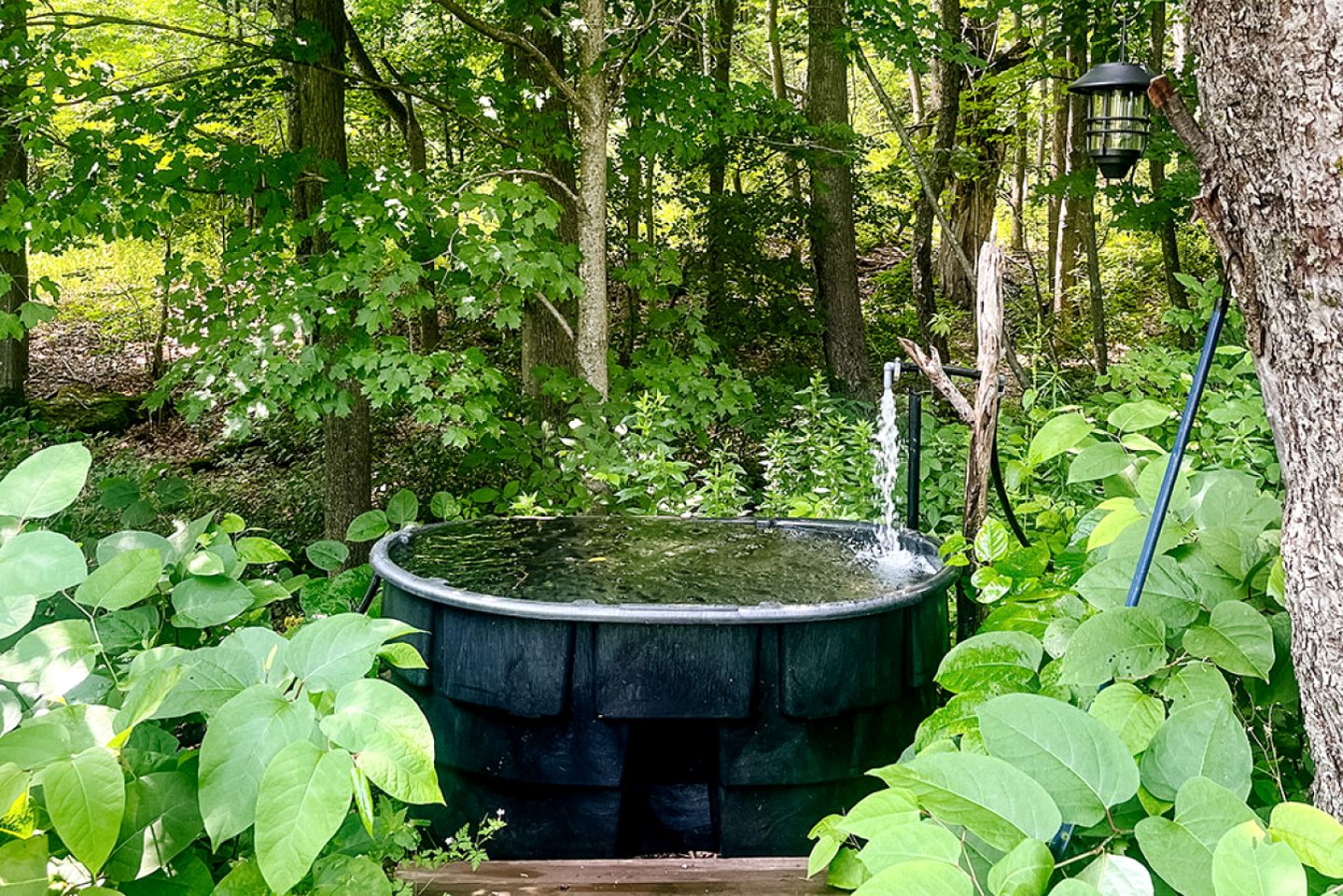 Remarkable Cabin Thoughtfully Design with Sauna in New York