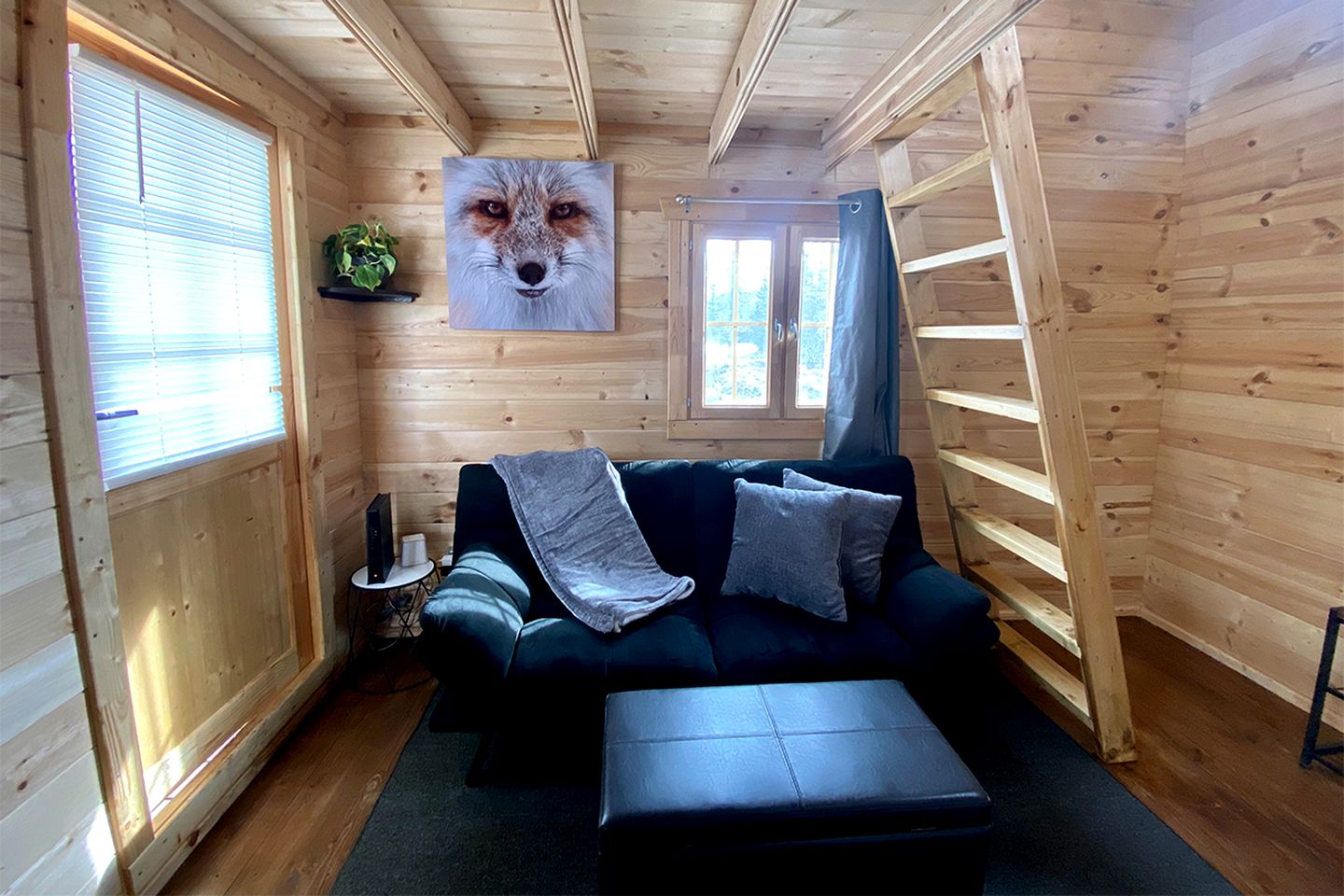 Remote and Serene Lakefront Cabin in Cantwell, Alaska, with Gorgeous Views of Nations Mountain
