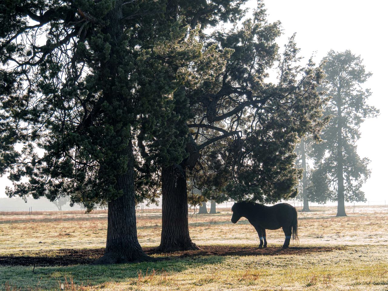 Remote Tiny House with Amazing Landscape Ideal for Two in New South Wales