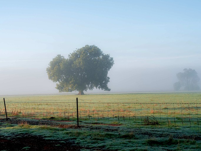 Tiny Houses (Australia, Colinroobie, New South Wales)
