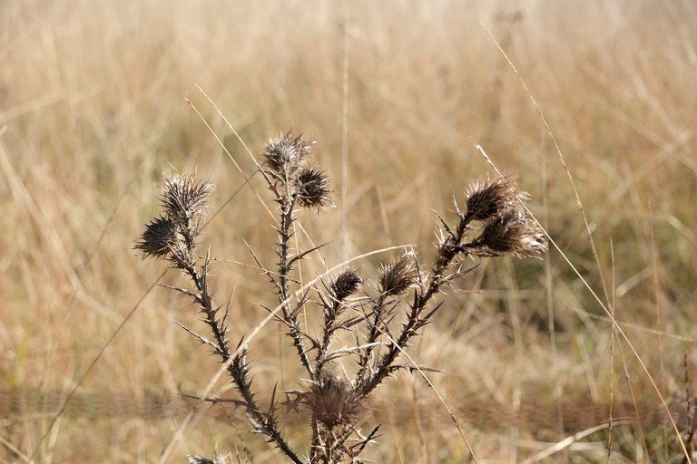 Vacation Rentals (Australia, Bungonia, New South Wales)