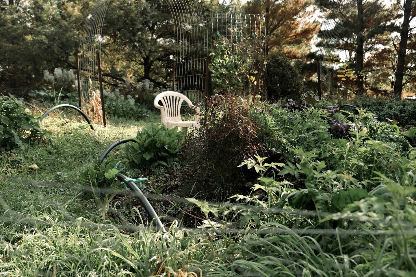 Remote Tiny House, makes for a Beautiful Canberra Escape