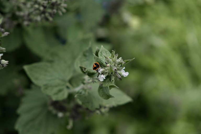 Vacation Rentals (Australia, Bungonia, New South Wales)