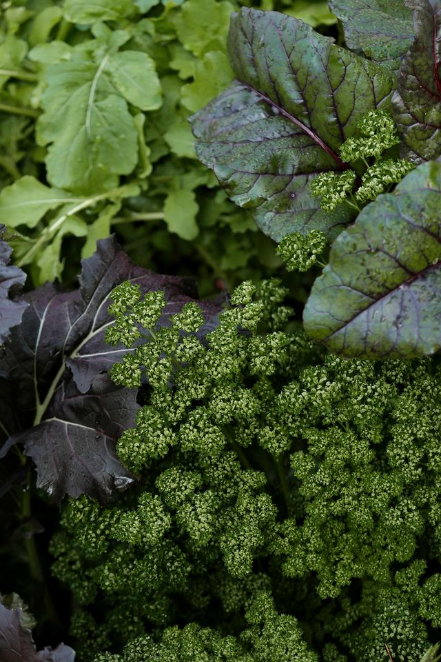 Remote Tiny House, makes for a Beautiful Canberra Escape
