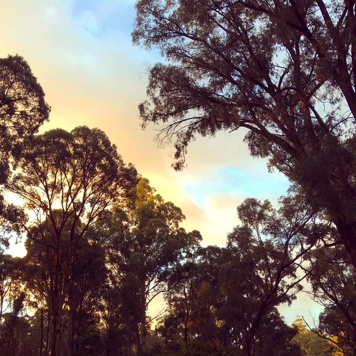 Tiny Houses (Toolangi, Victoria, Australia)