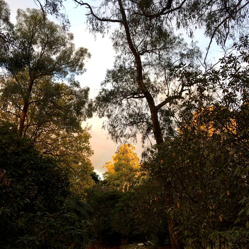 Tiny Houses (Toolangi, Victoria, Australia)