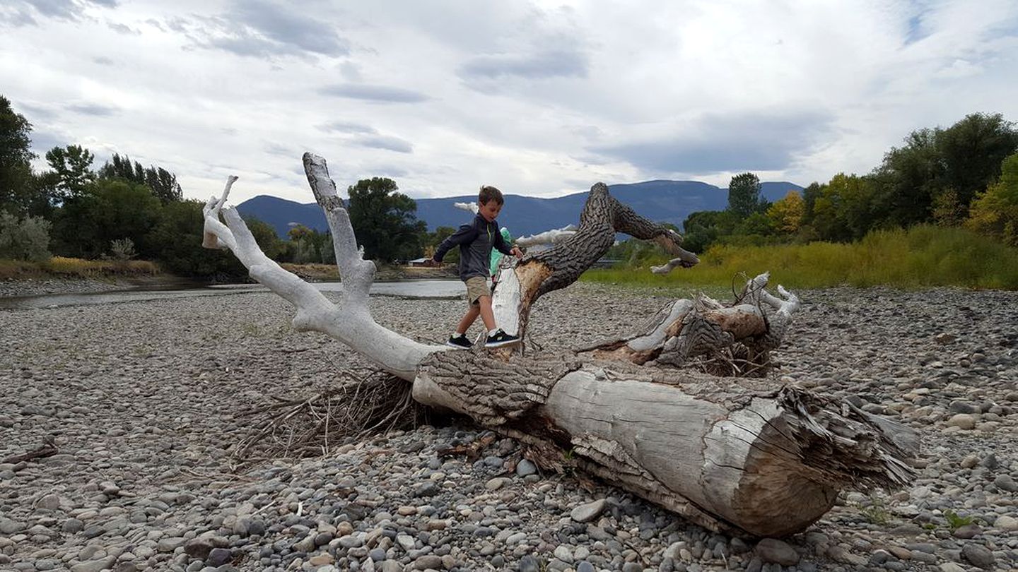 Spacious Cottage Rental near the Yellowstone River in Livingston, Montana