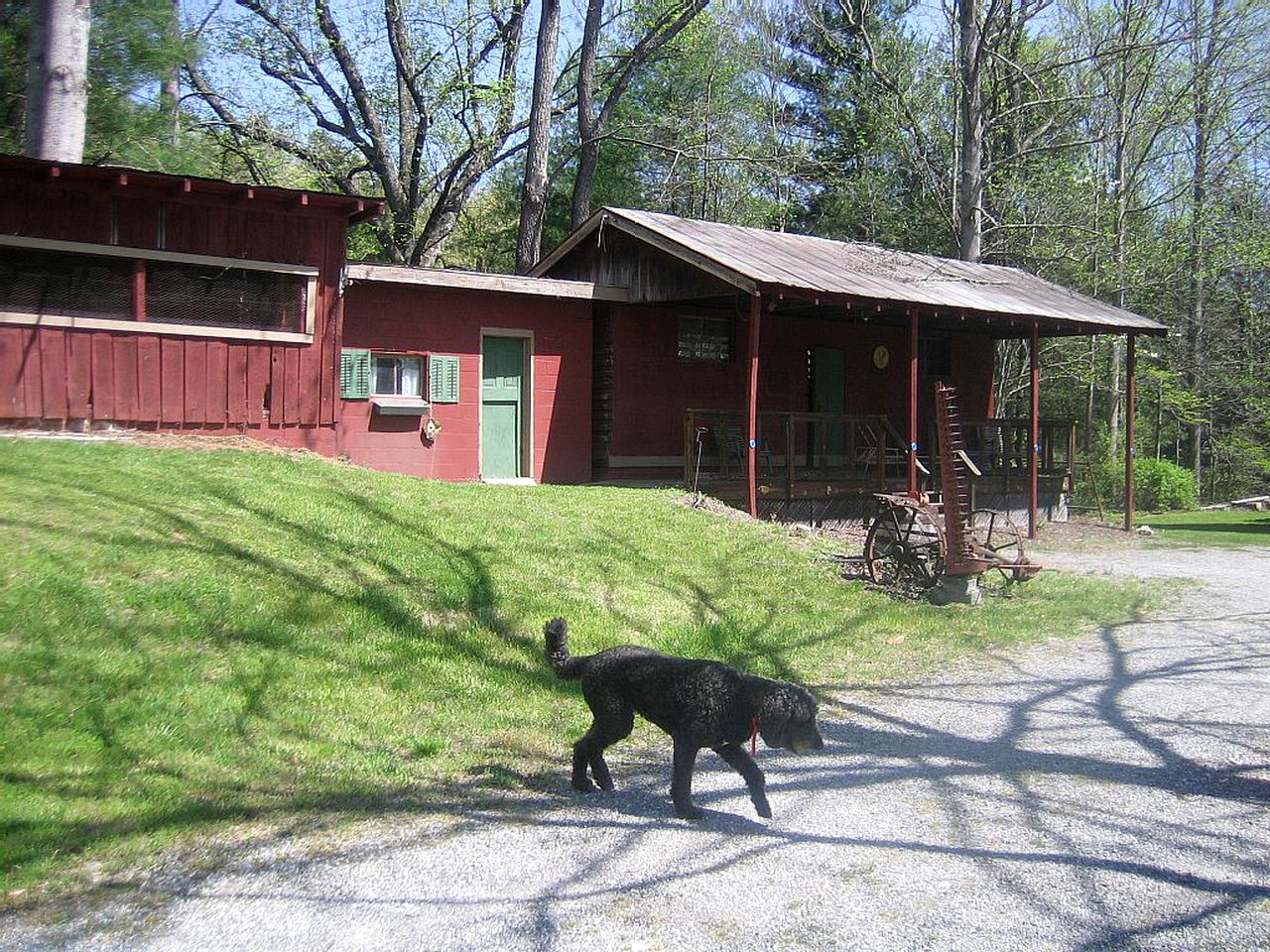 Family-Friendly Cabin with Panoramic Mountain Views next to Pisgah National Forest