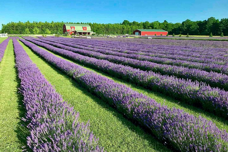 Vacation Rentals (United States of America,  Sister Bay, Wisconsin)