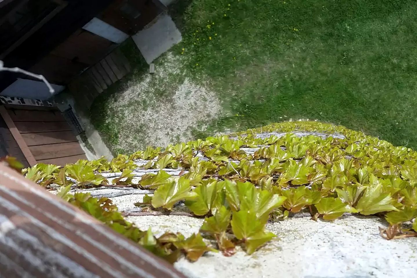 Unique Tower Vacation Rental on Farmland near Waukesha, Wisconsin