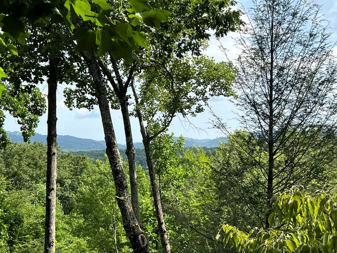 Cabins (United States of America, Sevierville, Tennessee)