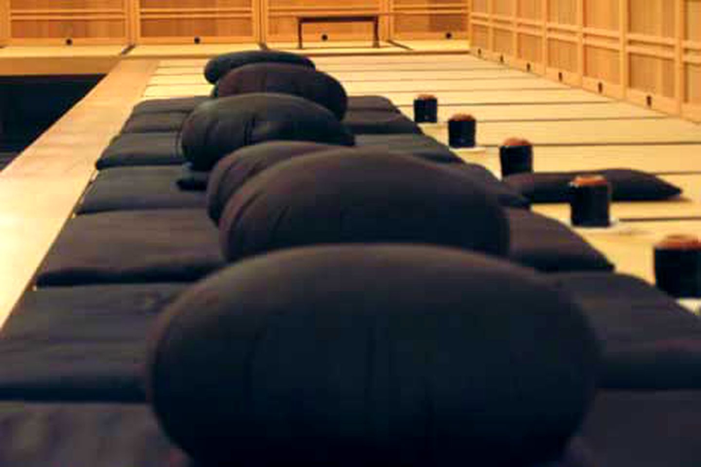 Zen Meditation Retreat with Vegetarian Meals in Crestone, Colorado