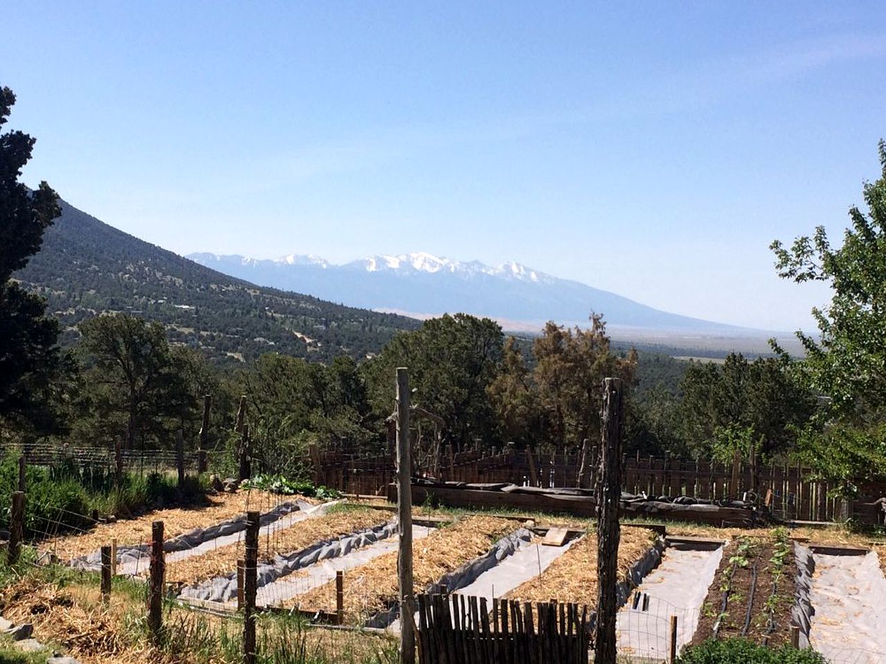 Zen Meditation Retreat with Vegetarian Meals in Crestone, Colorado