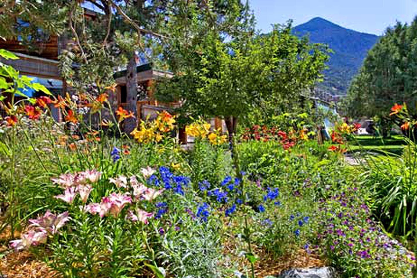 Rustic Log Cabin with Meals Included in Crestone, Colorado
