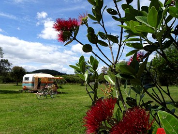 Retro Caravan for a Unique Oceanside Getaway in Beachlands, Auckland photo 5