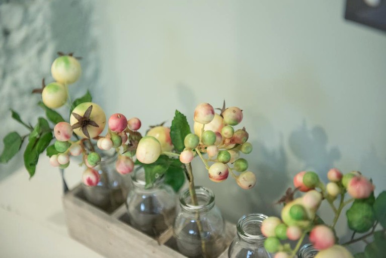 Nature Lodges (Ashburton, South Island, New Zealand)