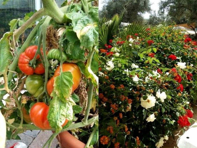 Nature Lodges (Aghmat, Marrakesh-Safi Region, Morocco)