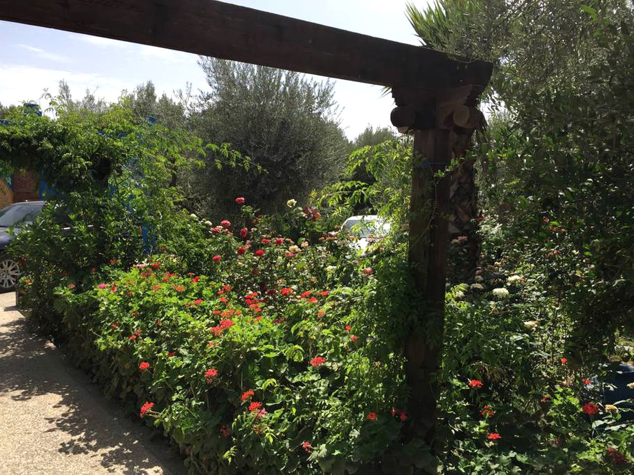 Enchanting Room Rental with a Breathtaking Garden and Pool in Aghmat, Morocco