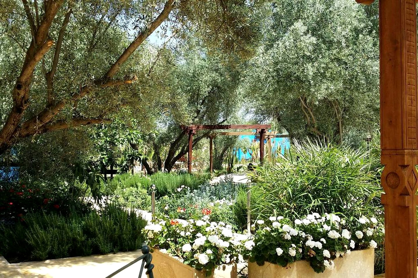 Enchanting Room Rental with a Breathtaking Garden and Pool in Aghmat, Morocco