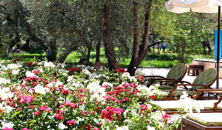 Nature Lodges (Aghmat, Marrakesh-Safi Region, Morocco)